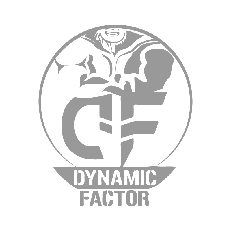 CF Dynamic Factor